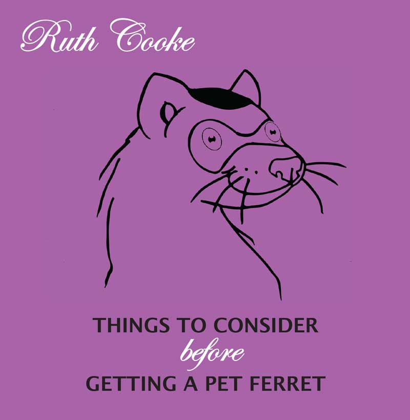 Cover of Ruth's Ferret CD